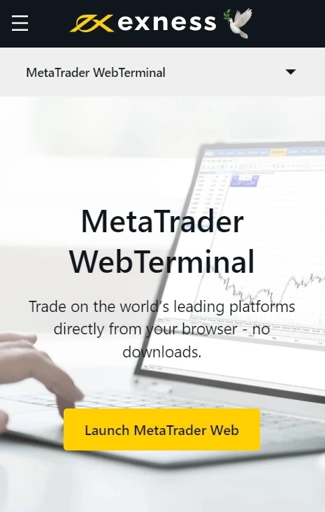 Using the Web Terminal